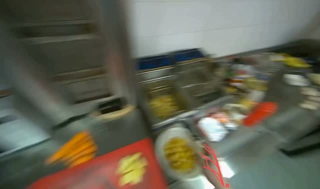 Collecting and loading potatoes into fryer: egocentric robotics sample