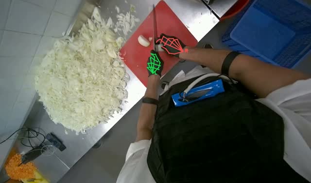 Preparing onions on cutting board: egocentric robotics sample