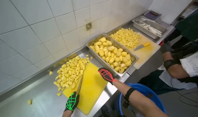 Cutting potatoes into pieces: egocentric robotics sample