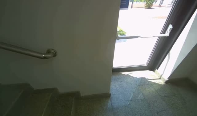 Sweeping stairwell floor: egocentric robotics sample