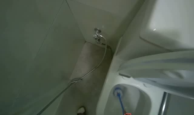 Brushing multiple toilet bowls: egocentric robotics sample