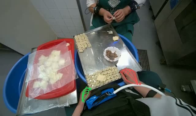 Making dumplings with meat filling: egocentric robotics sample