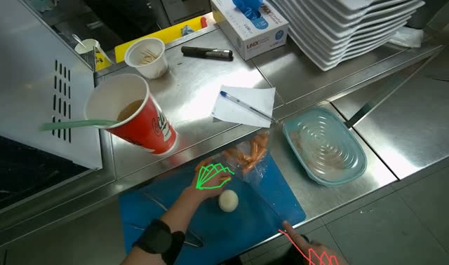 Preparing sausages and onion: egocentric robotics sample