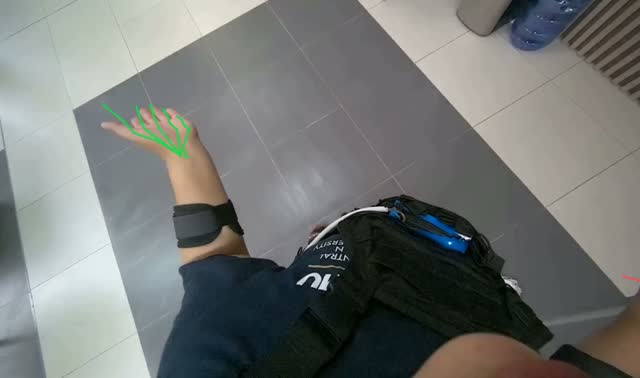 Mopping the floor: egocentric robotics sample