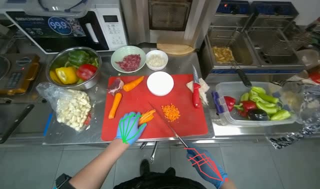 Slicing carrots into strips: egocentric robotics sample