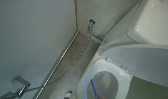 Cleaning restroom stalls: egocentric robotics sample