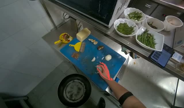 Frying Onions: egocentric robotics sample