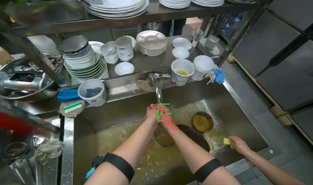 Washing a Piece of Sausage: egocentric robotics sample