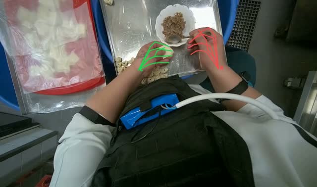 Making dumplings with meat filling: egocentric robotics sample
