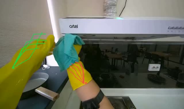 Wiping kitchen range hood and stovetop: egocentric robotics sample
