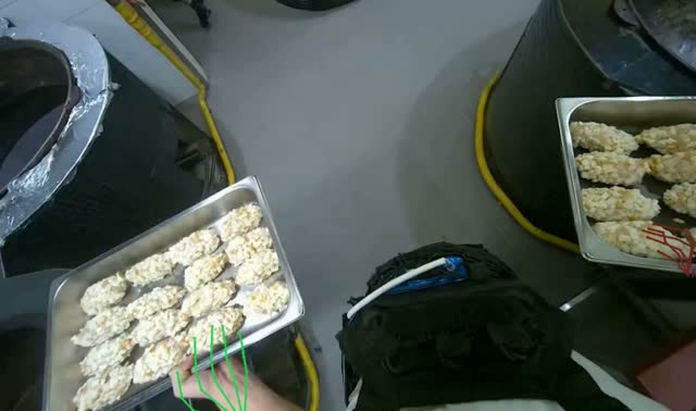 Transporting food trays to oven: egocentric robotics sample