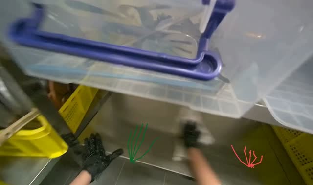 Cleaning metal shelves: egocentric robotics sample