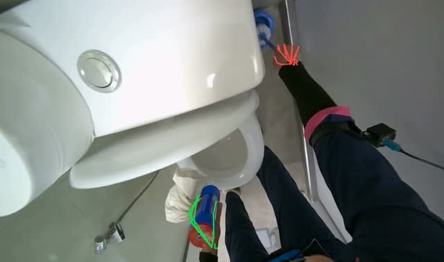 Cleaning toilet bowl and seat: egocentric robotics sample