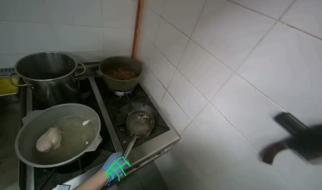 Placing water on stove and preparing dish for meal: egocentric robotics sample