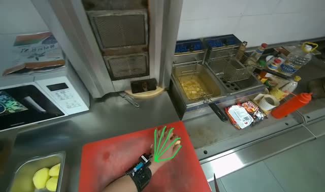 Cutting potatoes on board: egocentric robotics sample