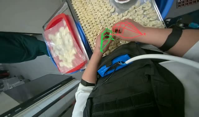 Making dumplings with meat filling: egocentric robotics sample