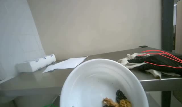 Wiping metal table: egocentric robotics sample