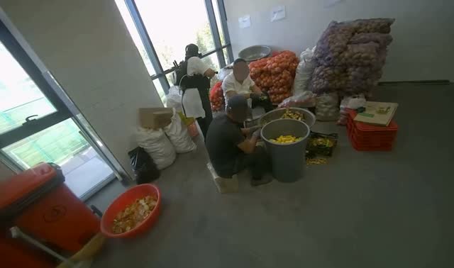 Mopping kitchen floor: egocentric robotics sample