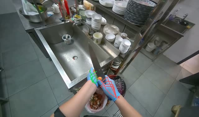 Peeling carrot with knife: egocentric robotics sample