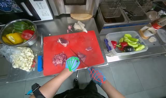 Slicing and dicing meat on board: egocentric robotics sample