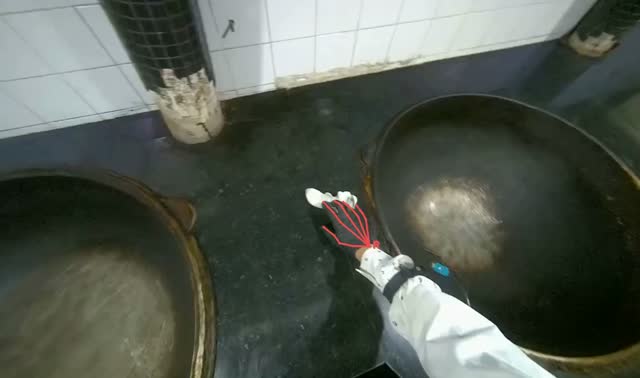 Wiping kitchen countertop: egocentric robotics sample