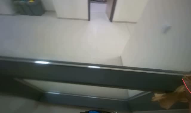 Wiping glass partition frames: egocentric robotics sample