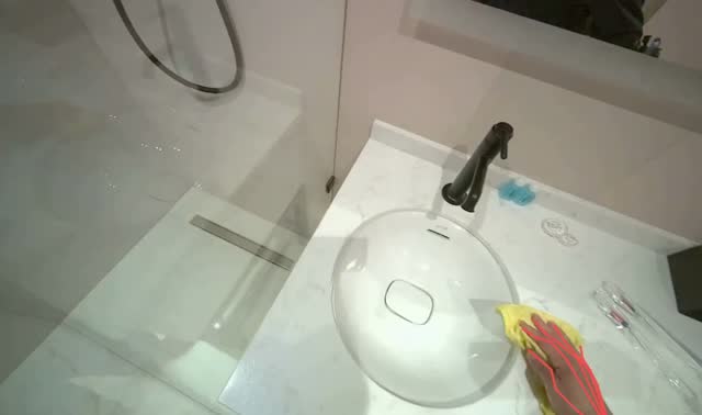 Cleaning bathroom sink and shower: egocentric robotics sample