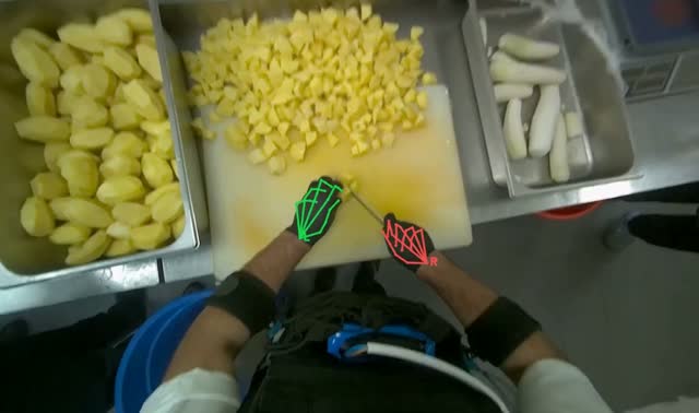 Cutting potatoes into pieces: egocentric robotics sample