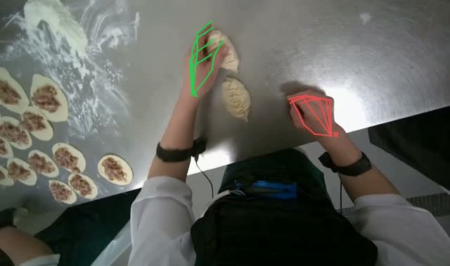 Sealing meat-filled dumplings: egocentric robotics sample
