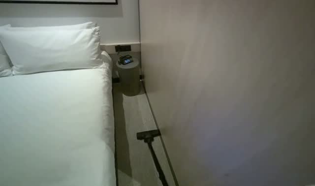 Vacuuming hotel room carpet: egocentric robotics sample