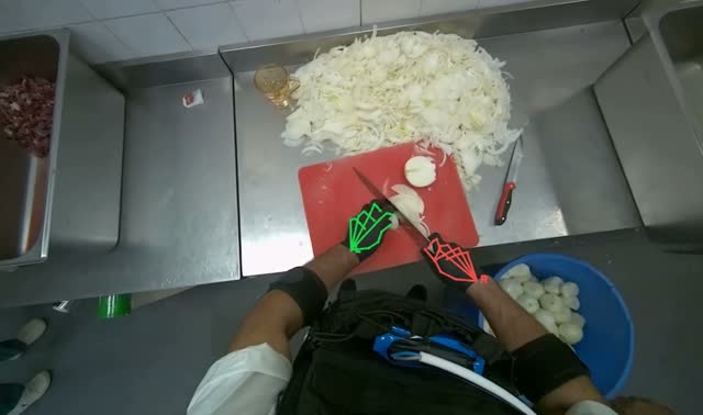 Slicing onions on cutting board: egocentric robotics sample