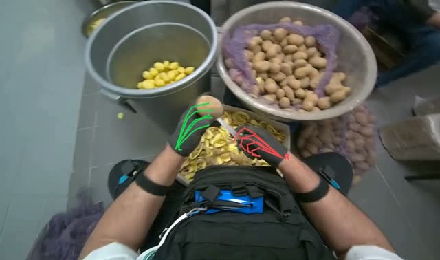 Peeling potatoes: egocentric robotics sample