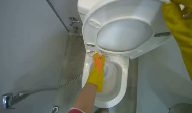 Wiping toilet exterior and seat: egocentric robotics sample