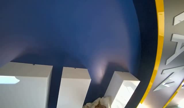 Cleaning large circular sign: egocentric robotics sample