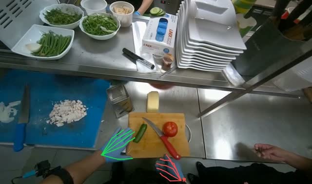 Chopping cucumber: egocentric robotics sample