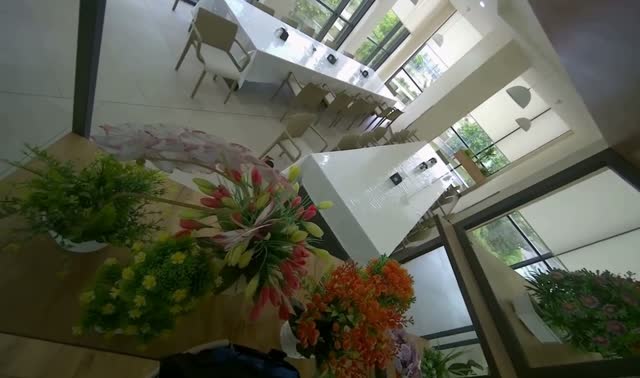 Gathering potted plants for washing: egocentric robotics sample