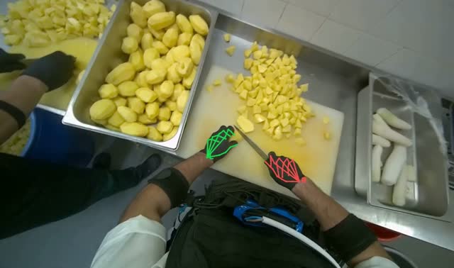 Cutting potatoes into pieces: egocentric robotics sample
