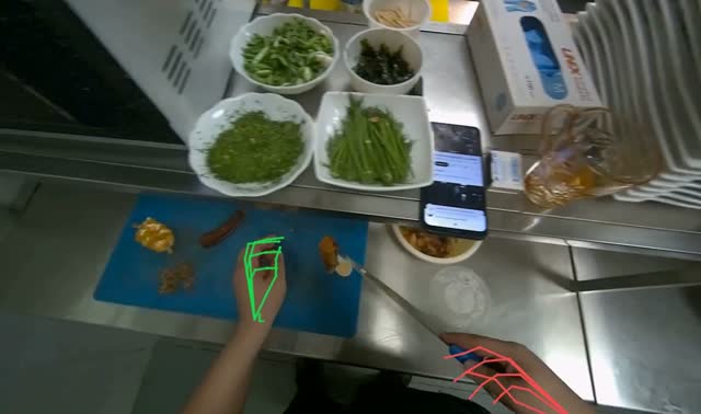Preparing noodle bowl: egocentric robotics sample