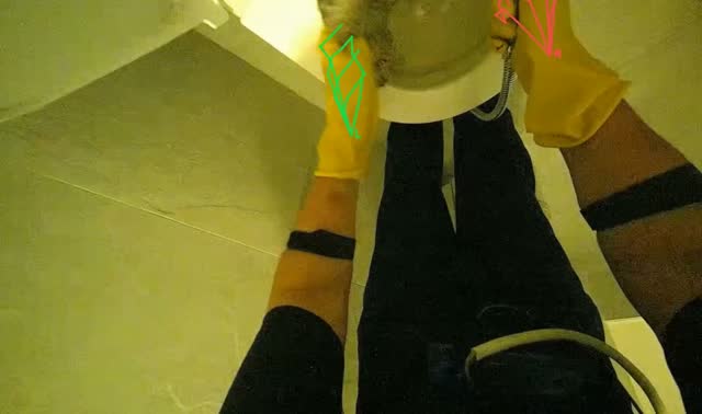 Cleaning toilet bowl: egocentric robotics sample