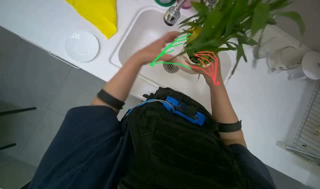 Watering potted plant: egocentric robotics sample