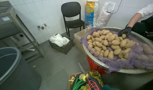 Peeling potatoes: egocentric robotics sample