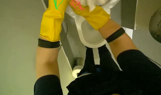 Cleaning and servicing toilet: egocentric robotics sample