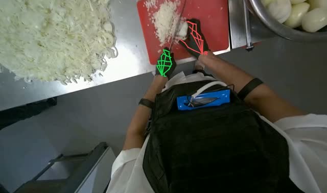 Slicing onions on cutting board: egocentric robotics sample