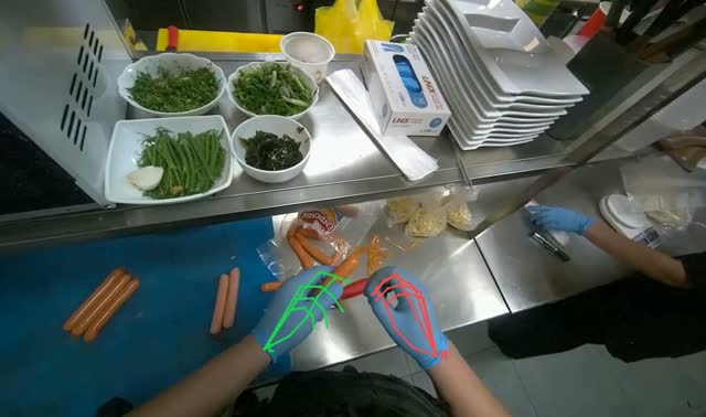 Peeling sausages: egocentric robotics sample