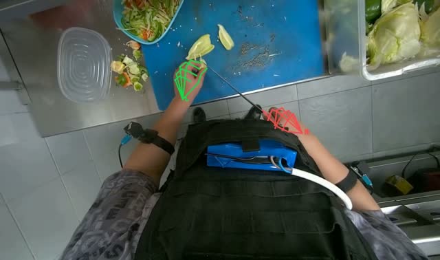 Slicing cabbage on cutting board: egocentric robotics sample