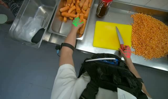 Dicing carrots on cutting board: egocentric robotics sample