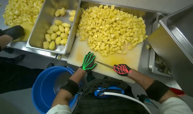 Dicing potatoes on cutting board: egocentric robotics sample