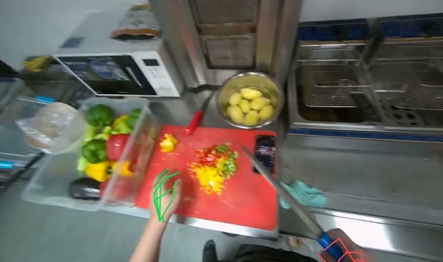 Cutting bell peppers: egocentric robotics sample