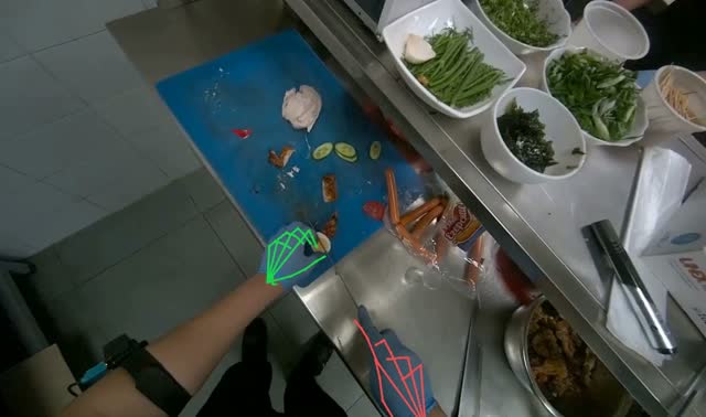 Retrieving ingredients from refrigerators: egocentric robotics sample