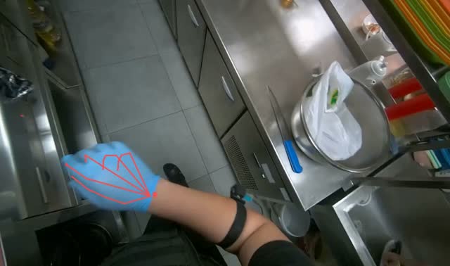 Slicing carrots into strips: egocentric robotics sample